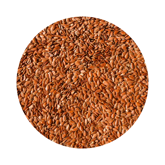 Semi di lino